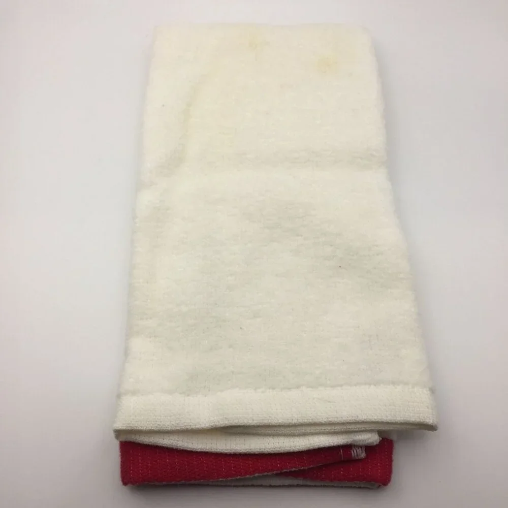 Christmas Conservatory Set 2 Mini Hand Towels 11x17